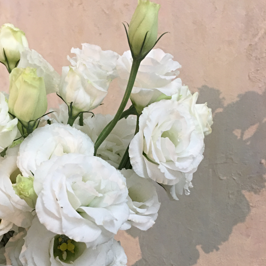 Dive into Self Discovery | Floral Therapy Session – THE LILY FIELD